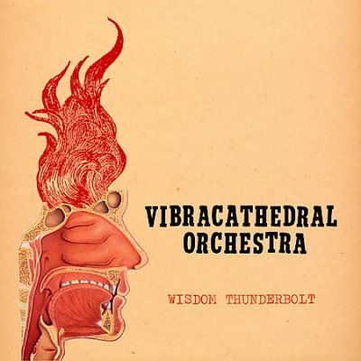 Vibracathedral Orche - Wisdom Thunderbolt (CD)
