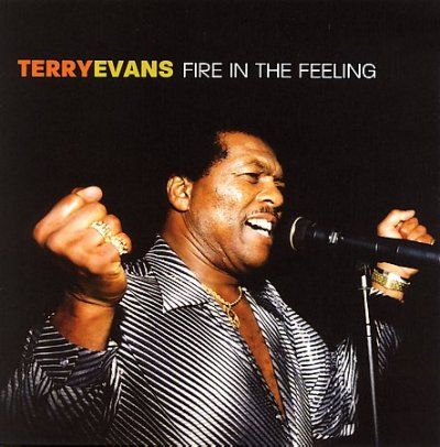 Terry Evans - Fire In The Feeling (CD)