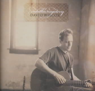 David Wilcox - Into The Mystery (CD)