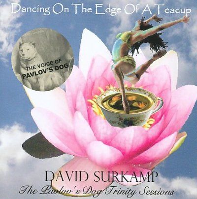 David Surkamp - Dancing On The Edge Of A Teacup: Pavlo (CD)