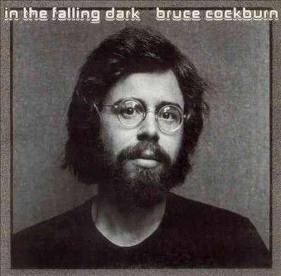 Bruce Cockburn - In The Falling Dark (CD)