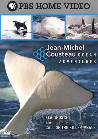 Ocean Adventures Se 2:Sea Ghost &amp; Cal - (Region 1 Import DVD)