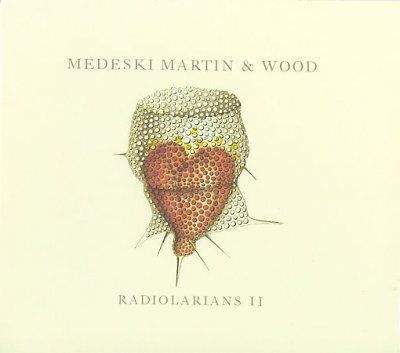 Martin &amp; Wo Medeski - Radiolarians Ii (CD)