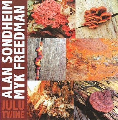 Alan Sondheim - Julu Twine (CD)
