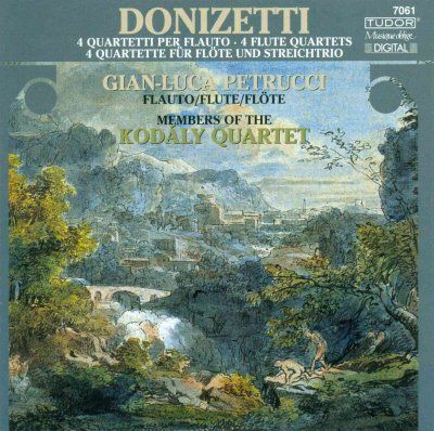 Kodaly Quartet - Donizetti: 4 Flute Quartets (CD)