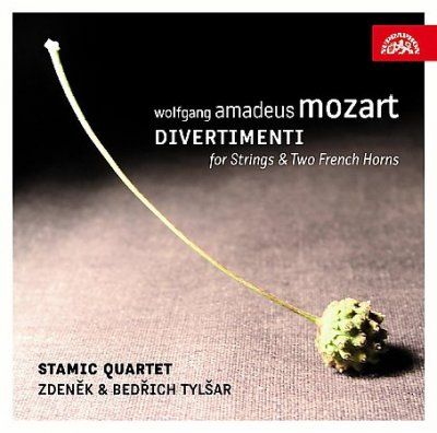 Stamic Quartet - Mozart: Divertimenti For Strings And T (CD)