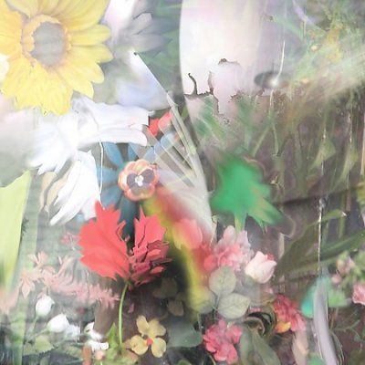 Joan Of Arc - Flowers (CD)