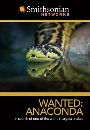 Wanted:Anaconda - (Region 1 Import DVD)