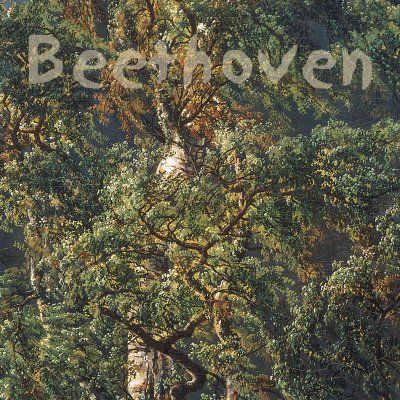 B K/solum Fossheim - Beethoven: Sons For Fortepiano And Cel (CD)