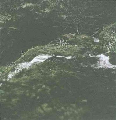 Pyramids - Pyramids With Nadja (CD)