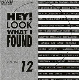 Hey Look What I Found Vol 12 - (Import CD)