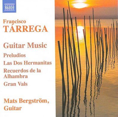 Guitar Music (CD)