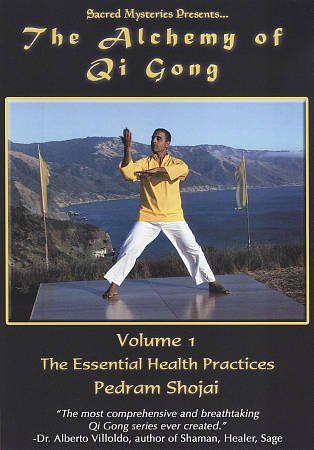 Alchemy of Qi Gong Volume I:Essential - (Region 1 Import DVD)