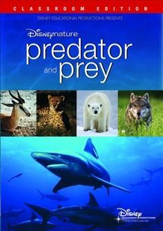 Disneynature Predator and Prey - (Region 1 Import DVD)