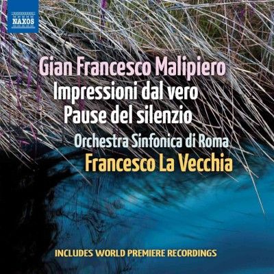 Impressioni Dal Vero / Pause Dal Silenzio (CD)