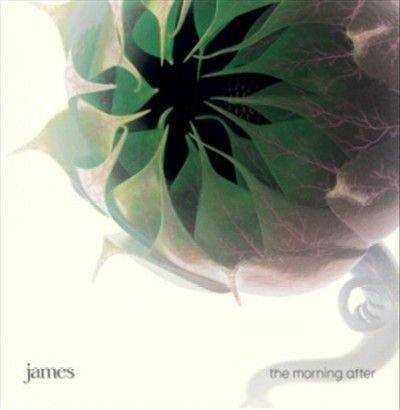 James - Morning After (CD)
