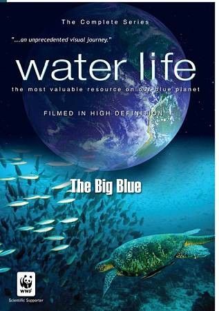 Water Life:Big Blue - (Region 1 Import DVD)