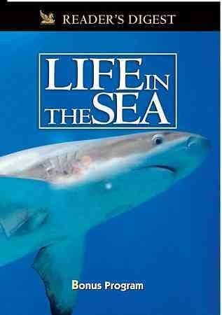 Wondrous Secrets Ocean Realm:Life in - (Region 1 Import DVD)