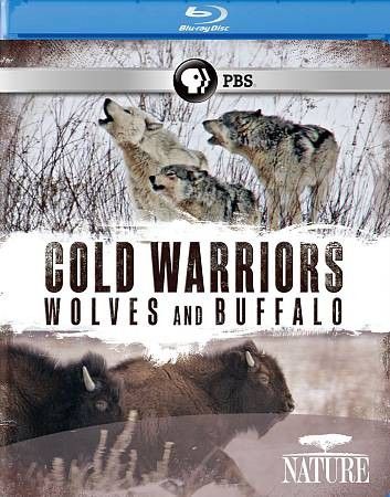 Nature:Cold Warriors Wolves &amp; Buffalo - (Region A Import Blu-ray Disc)