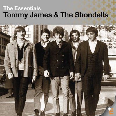 T &amp; Shondells James - Essentials (CD)