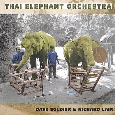 D D/lair Soldier - Thai Elephant Orchestra (CD)