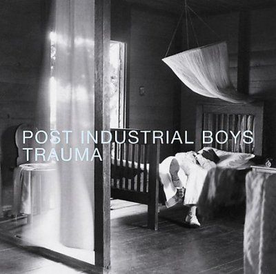 Post Industrial Boys - Post Industrial Trauma (CD)