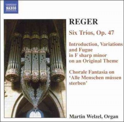 Martin Wetzel - Max Reger: Organ Works Vol 6 Six Trios (CD)