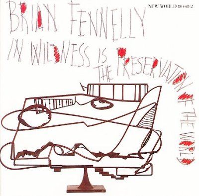Polish Radio Nationa - Fennelly: In Wildness Is The Preservat (CD)