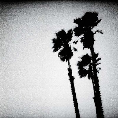 Twilight Singers - Blackberry Belle (CD)