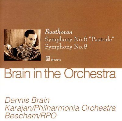 Beethoven:Brain in the Orchestra - (Import CD)