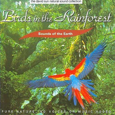 Artist Not Provided - Birds In The Rainforest (CD)
