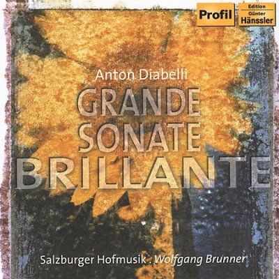 Salzburger Hofmusik - Diabelli: Grand Son Brillante (CD)