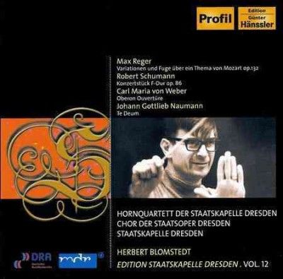 Peter Damm - Reger: Variationen Und Fuge Uber Ein T (CD)