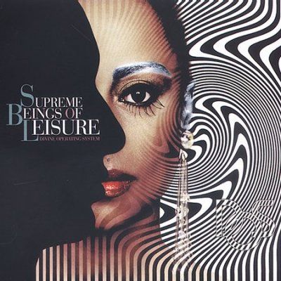 Supreme Beings Of Le - Divine Operating System (CD)