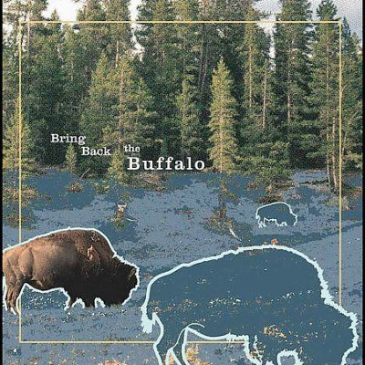 Bring Back The Buffa - Bring Back The Buffalo (CD)
