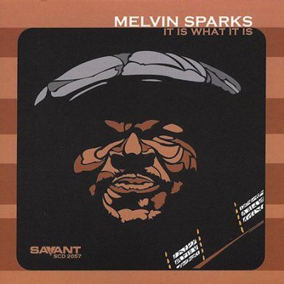 Melvin Sparks - It Is What It Is (CD)