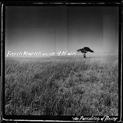 Kevin/hiwatt Martin - Possibility Of Being (CD)