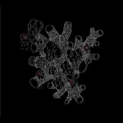Exquisite Death of Saxon Shore - (Import CD)