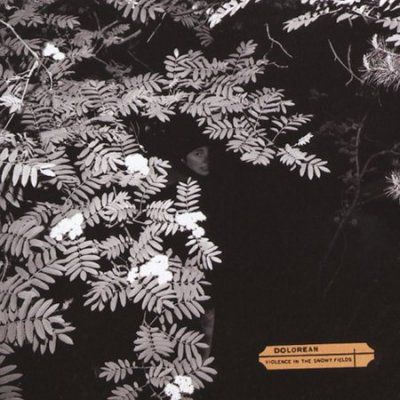 Violence in the Snowy Fields - (Import CD)