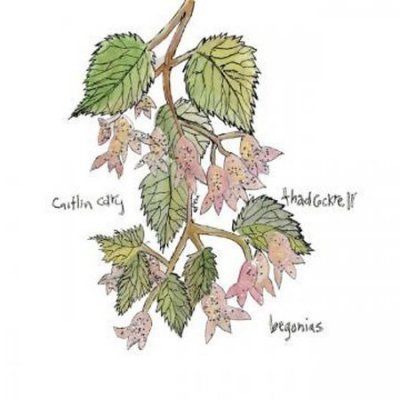 Caitlin Cary - Begonias (CD)