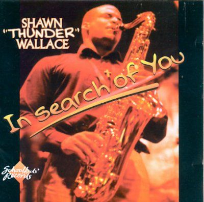 Shawn Wallace - In Search Of You (CD)