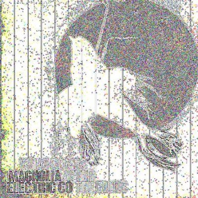 Magnolia Electric Co - What Comes After The Blues (CD)