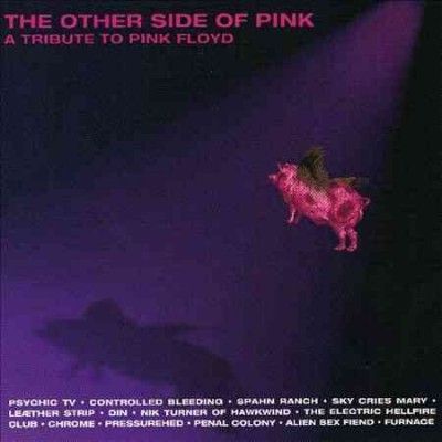 Various - Other Side Of Pink: Tribute To Pink Fl (CD)