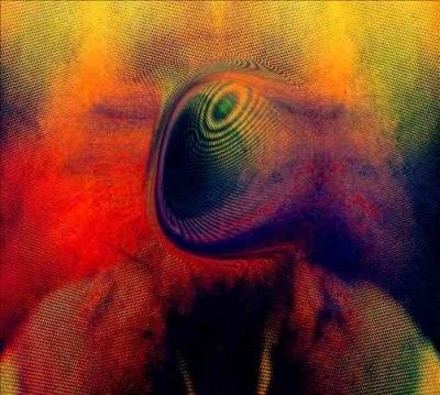 Young Magic - Melt (CD)