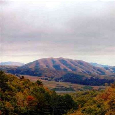 Dirty Projectors - Mount Wittenberg Orca (CD)