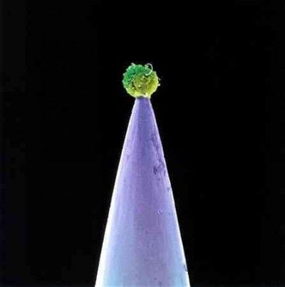 Peter Gabriel - New Blood (CD)