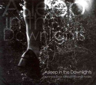 Hammock - Asleep In The Downlights (CD)