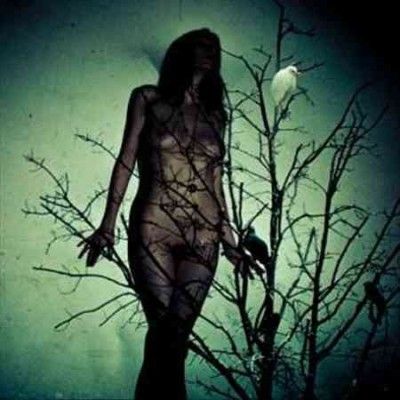 Atlas Moth - Ache For The Distance (CD)
