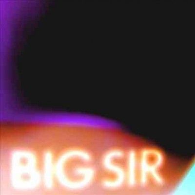 Big Sir - Before Gardens After Gardens (CD)
