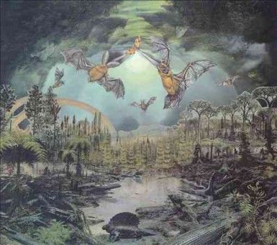 Nordic Nomadic - Worldwide Skyline (CD)